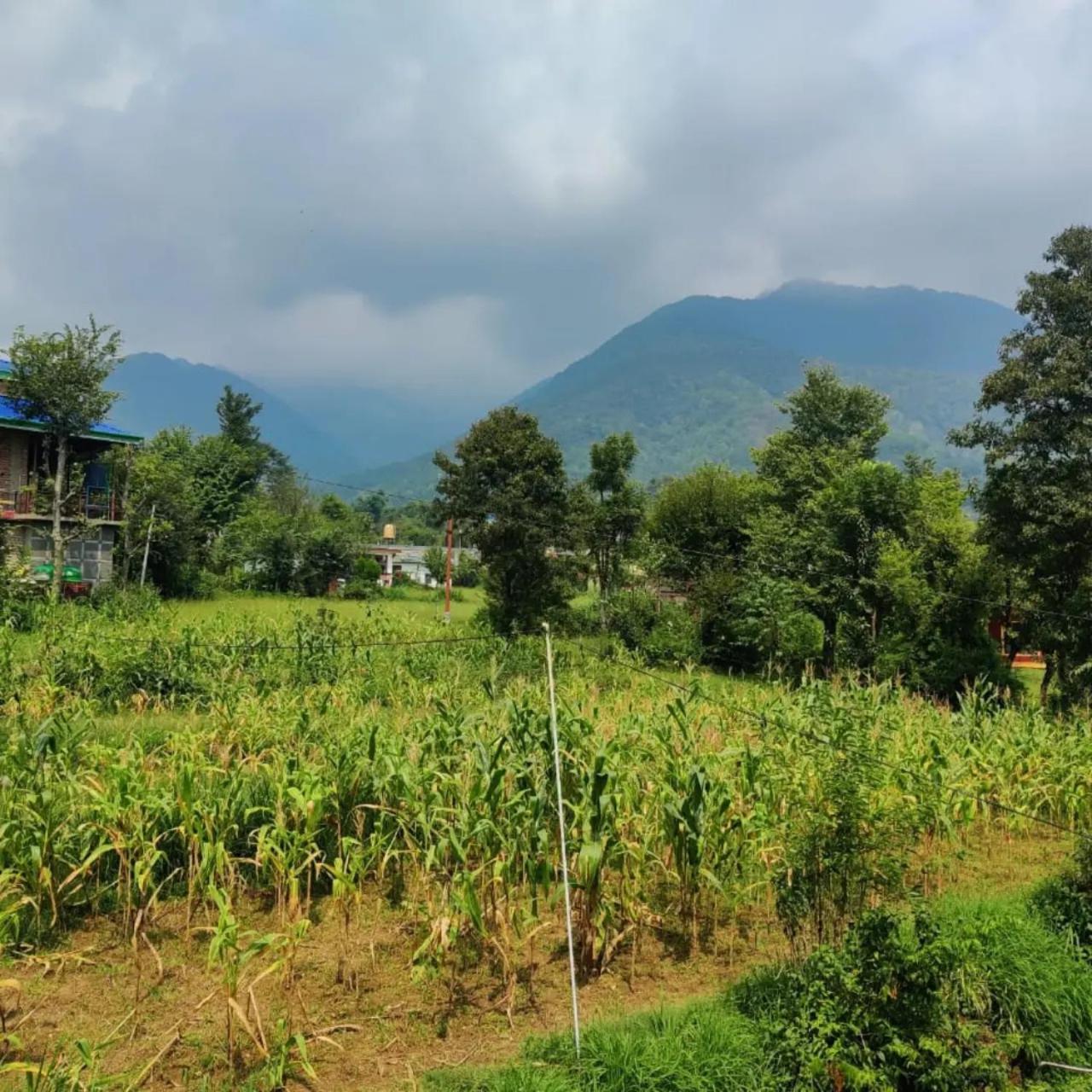 Aditya Homestay Bir-Billing Surrounded By Mountains Εξωτερικό φωτογραφία